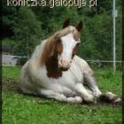 Która godzina?Pora na drzemkę!;)