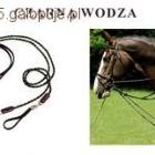 czarna wodza
