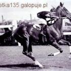 Fotka nr 1 z 5