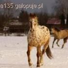 Fotka nr 5 z 8