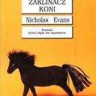 Fotka nr 5 z 6