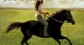 Katy i Flicka