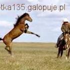 Fotka nr 2 z 7