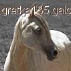 Fotka nr 5 z 6