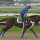 zdjęcie nr 16