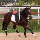 Fotka nr 1 z 10