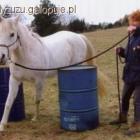 Fotka nr 1 z 2