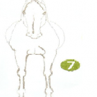 Fotka nr 4 z 9