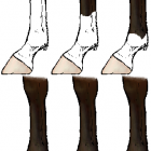 Fotka nr 3 z 6