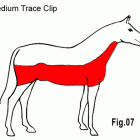 Trace