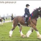 Fotka nr 2 z 3