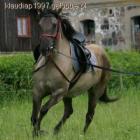 Fotka nr 5 z 8