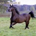 Fotka nr 1 z 3
