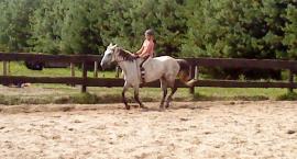 galop na oklep:)