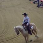 Reining Senior Open konie do 6 lat