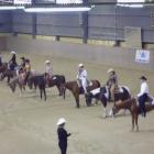 Western Pleasure Senior Open