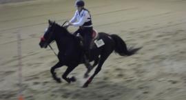 Pole Bending Junior