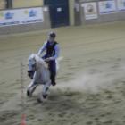 Pole Bending Junior