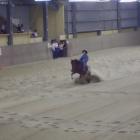 Reining Senior Open konie do 6 lat