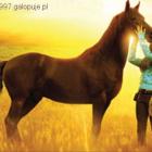 Flicka 2