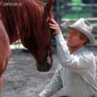 Zaklinacz koni