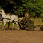 zdjęcie nr 8