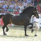 Fotka nr 2 z 8