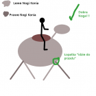 Dobra Noga