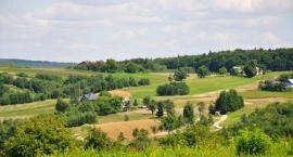 Okolica