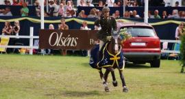 Galop na oklep