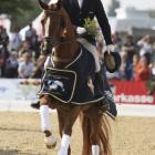 Woodlander Fauroche - galop