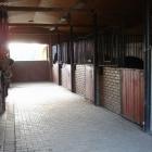 Dobrze utrzymana stajnia jest znakiem dobrego ośrodka