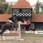 Fotka nr 2 z 3