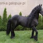 Fotka nr 1 z 7
