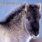 Fotka nr 1 z 9