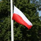 zdjęcie nr 20