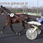 Fotka nr 5 z 7