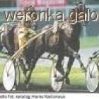 Fotka nr 1 z 7