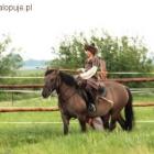 zdjęcie nr 9