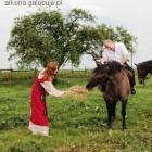 zdjęcie nr 18