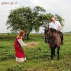 zdjęcie nr 17