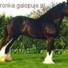 Fotka nr 3 z 5
