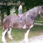 Fotka nr 2 z 5