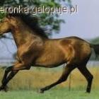 Fotka nr 5 z 6