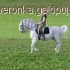 Fotka nr 1 z 6