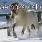 Fotka nr 3 z 6