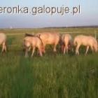 Fotka nr 2 z 6