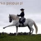 Fotka nr 1 z 6