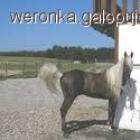 Fotka nr 2 z 6