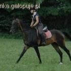 Fotka nr 4 z 7